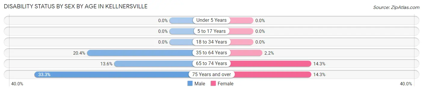Disability Status by Sex by Age in Kellnersville