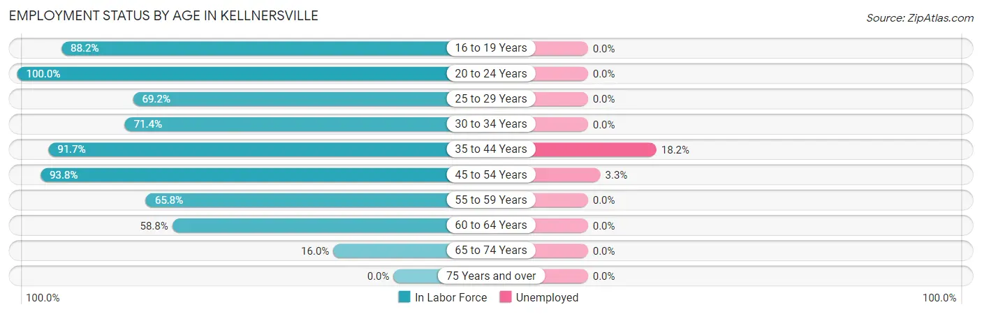 Employment Status by Age in Kellnersville