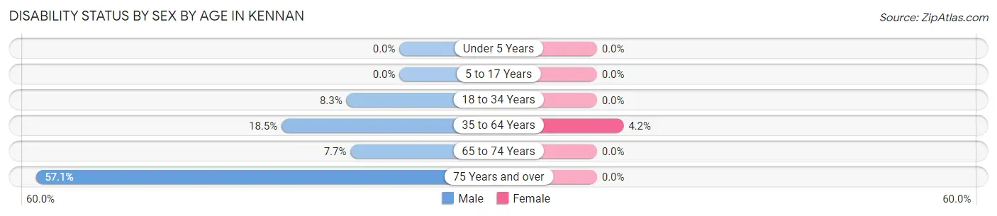 Disability Status by Sex by Age in Kennan