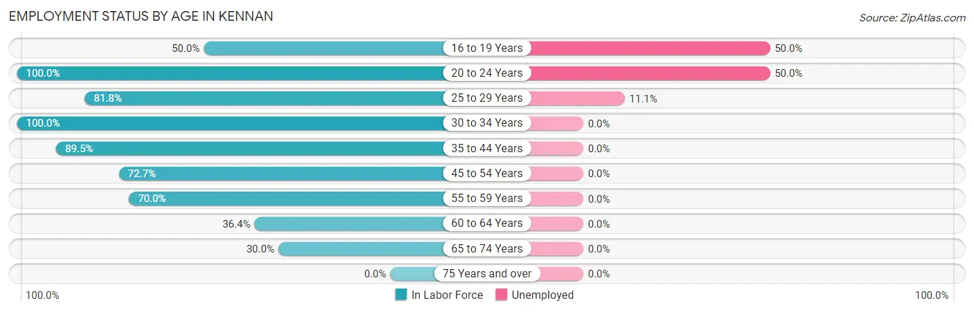 Employment Status by Age in Kennan