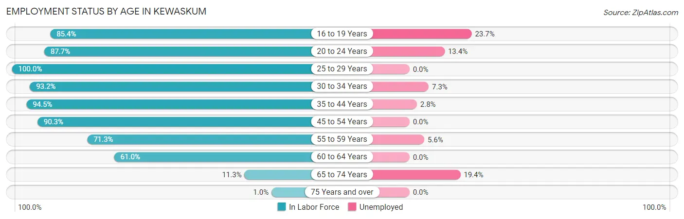 Employment Status by Age in Kewaskum