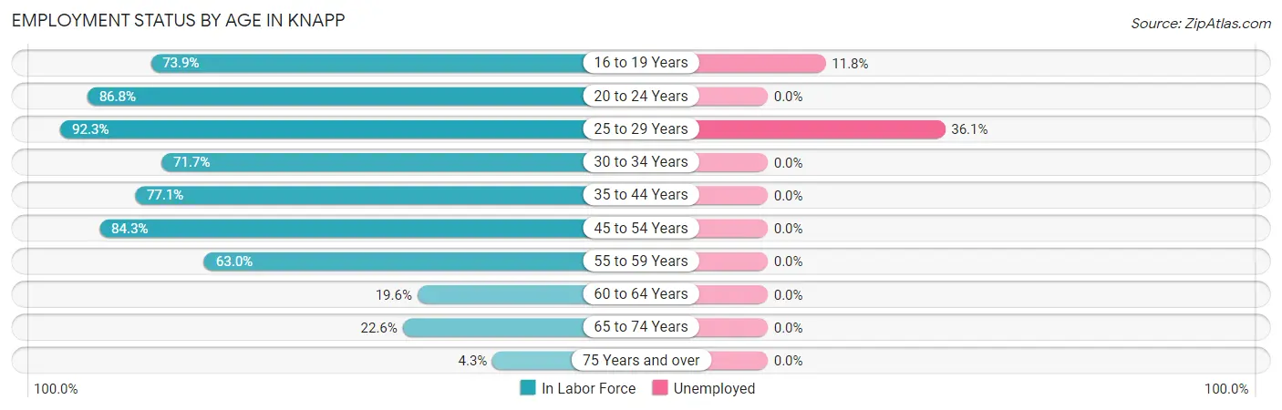 Employment Status by Age in Knapp