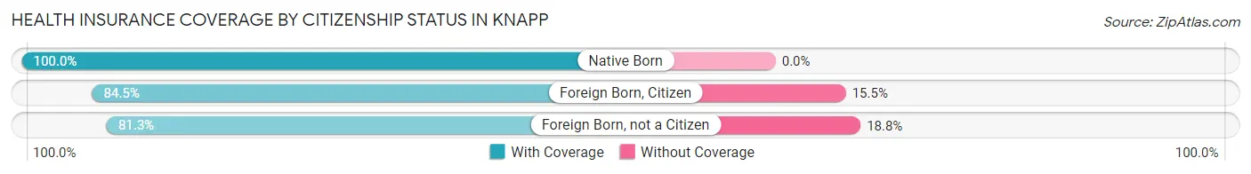 Health Insurance Coverage by Citizenship Status in Knapp