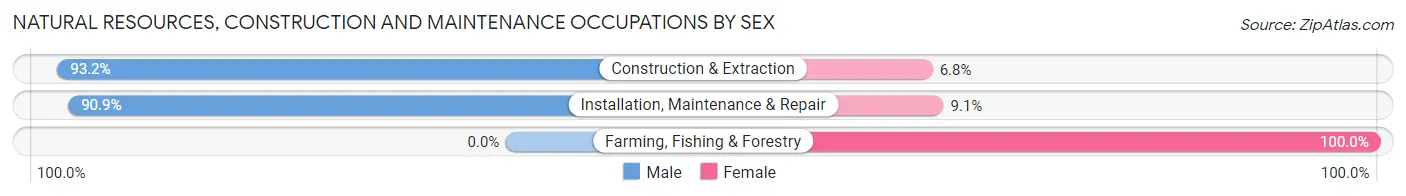 Natural Resources, Construction and Maintenance Occupations by Sex in Kohler