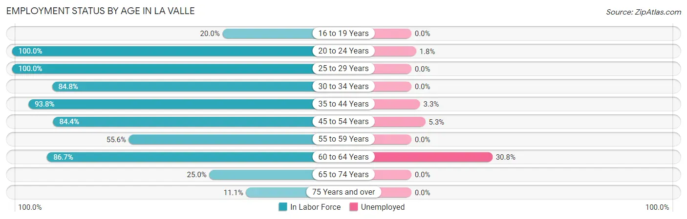 Employment Status by Age in La Valle