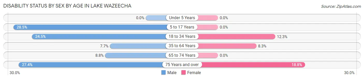 Disability Status by Sex by Age in Lake Wazeecha