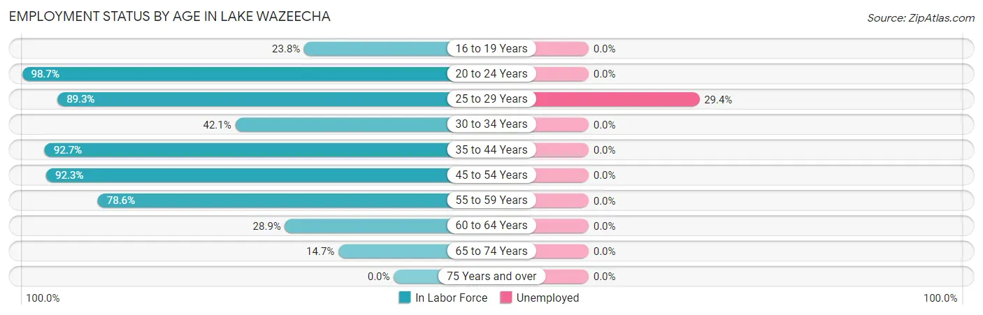 Employment Status by Age in Lake Wazeecha