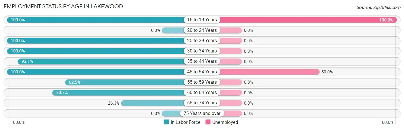 Employment Status by Age in Lakewood