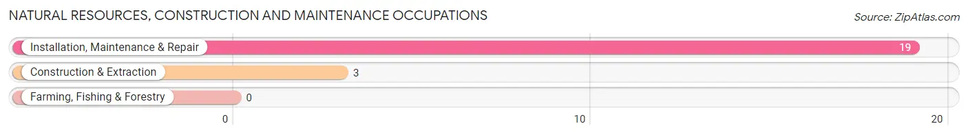 Natural Resources, Construction and Maintenance Occupations in Lakewood