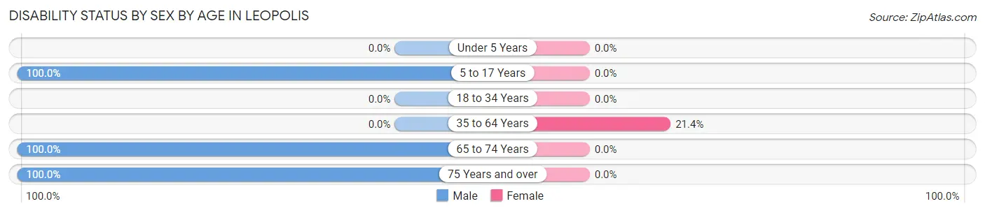 Disability Status by Sex by Age in Leopolis