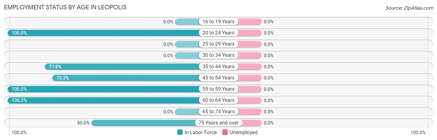 Employment Status by Age in Leopolis