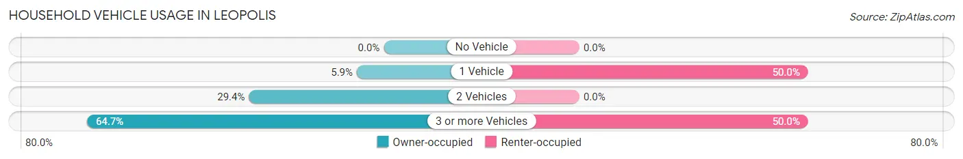 Household Vehicle Usage in Leopolis