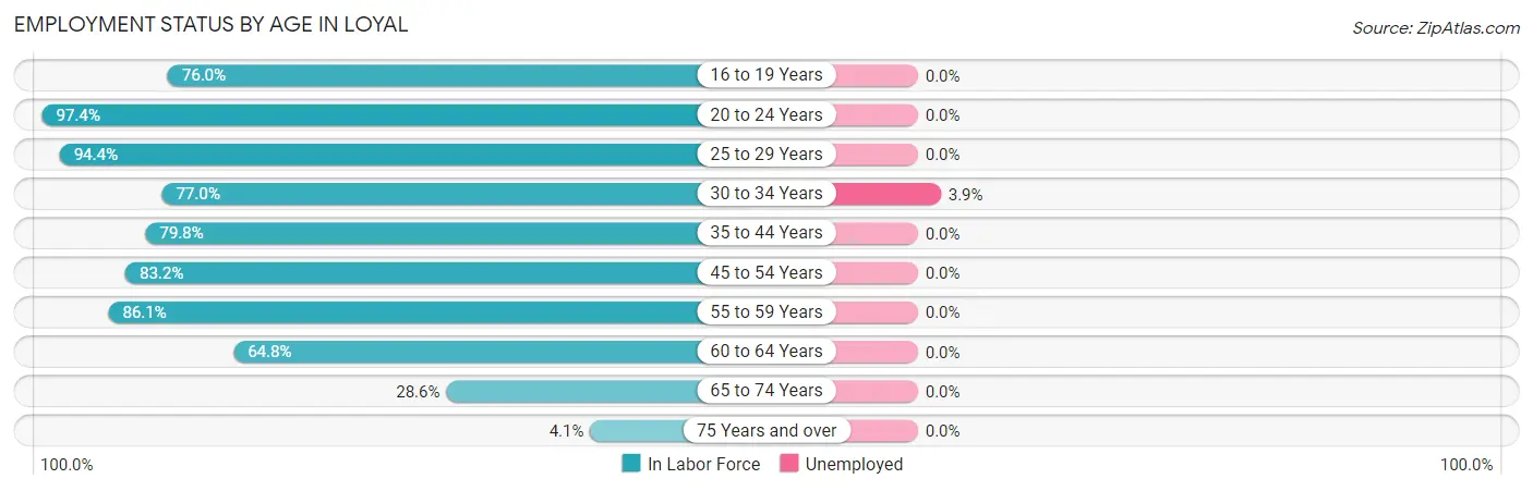 Employment Status by Age in Loyal