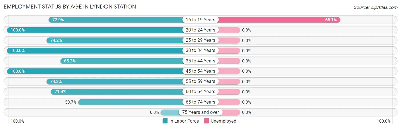 Employment Status by Age in Lyndon Station
