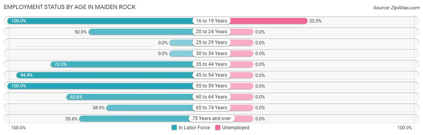 Employment Status by Age in Maiden Rock