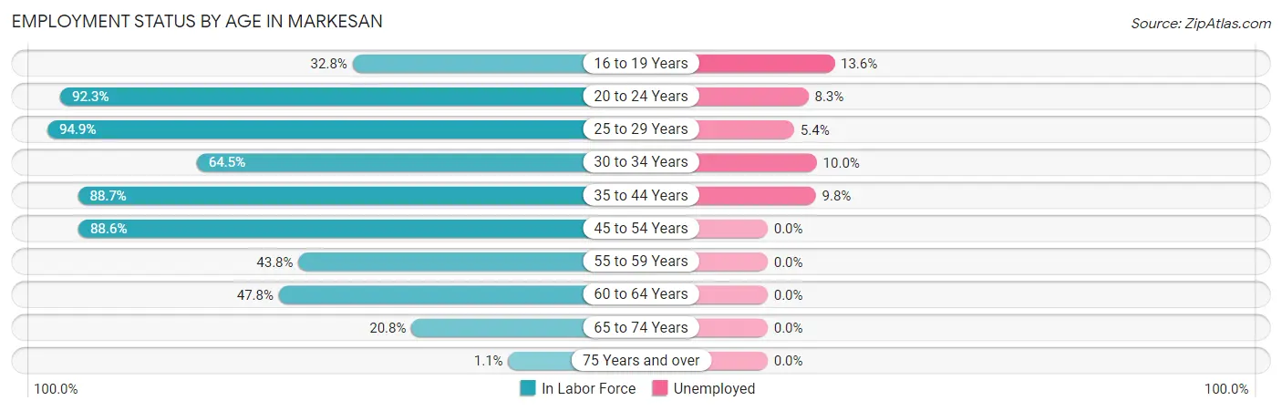 Employment Status by Age in Markesan