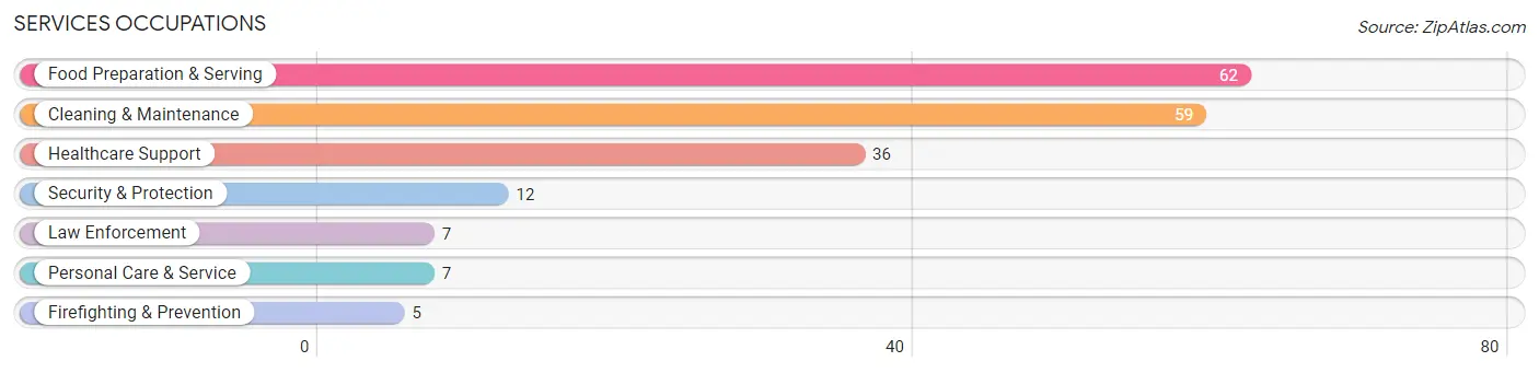 Services Occupations in Mazomanie