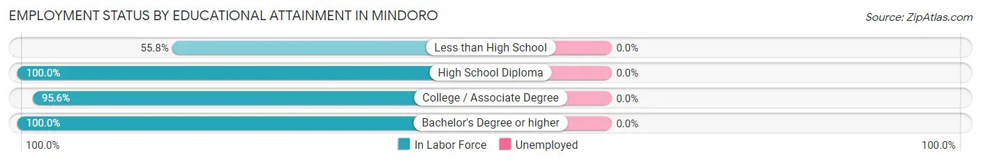 Employment Status by Educational Attainment in Mindoro