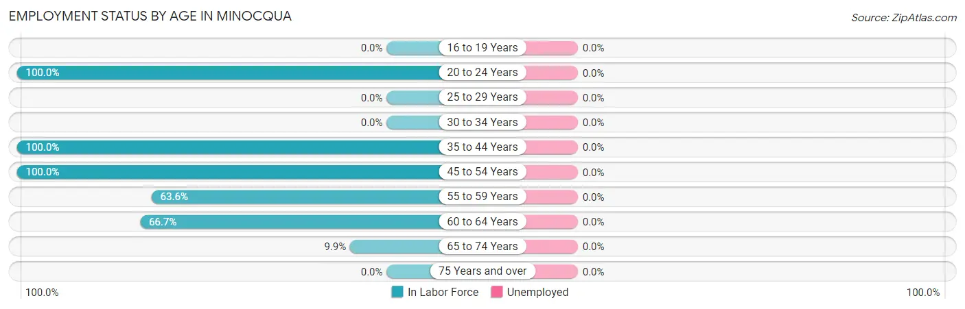 Employment Status by Age in Minocqua