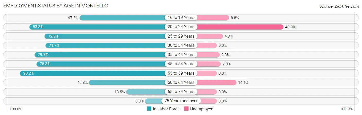 Employment Status by Age in Montello