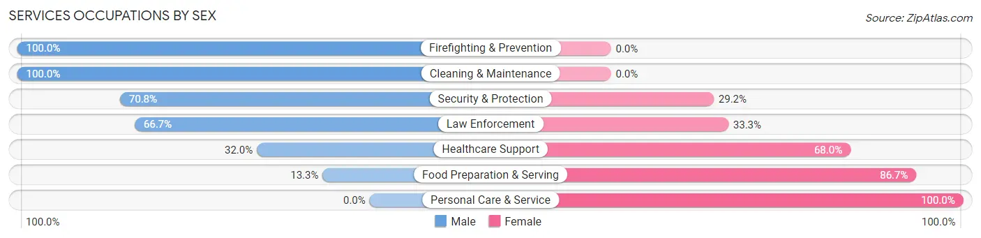 Services Occupations by Sex in Montello