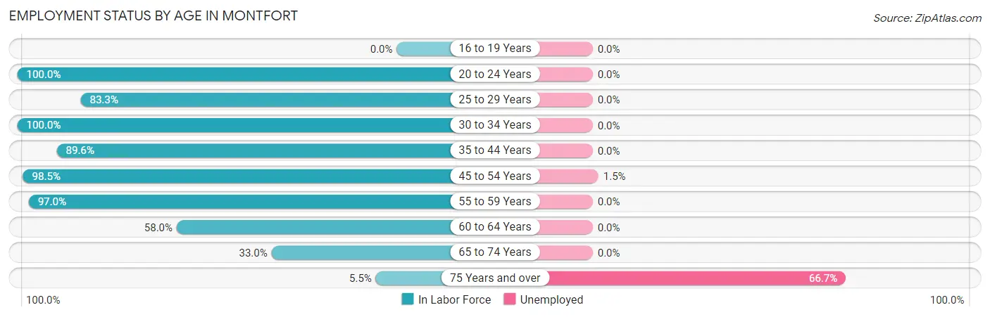 Employment Status by Age in Montfort