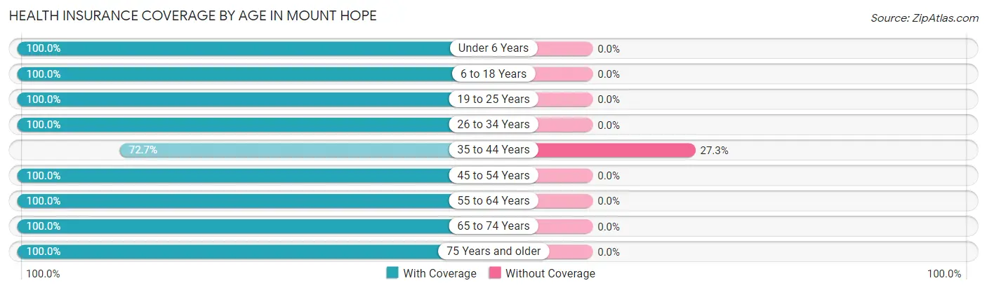 Health Insurance Coverage by Age in Mount Hope