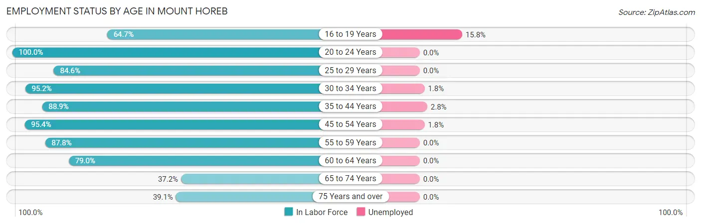 Employment Status by Age in Mount Horeb