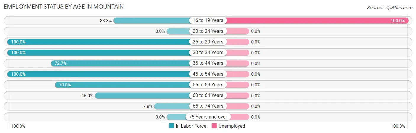 Employment Status by Age in Mountain