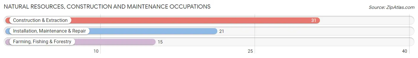 Natural Resources, Construction and Maintenance Occupations in Muscoda