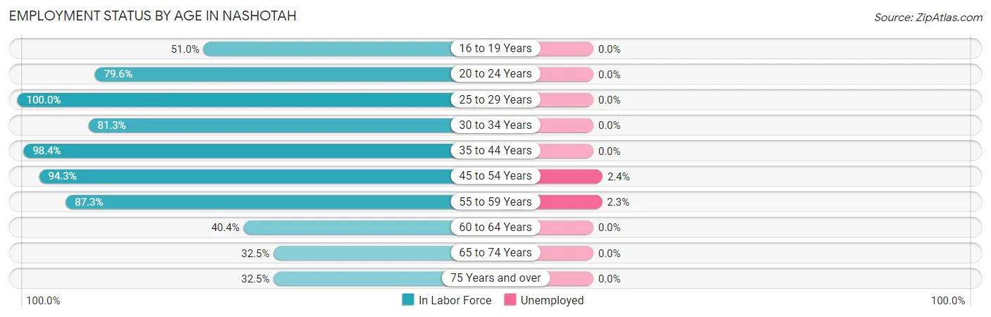 Employment Status by Age in Nashotah