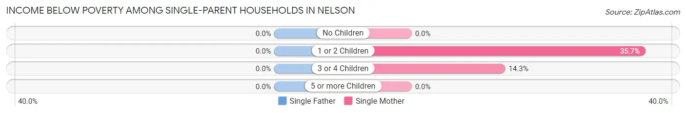 Income Below Poverty Among Single-Parent Households in Nelson