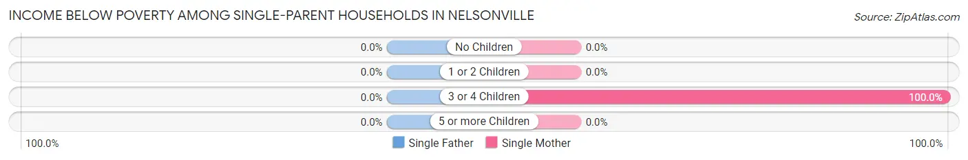 Income Below Poverty Among Single-Parent Households in Nelsonville