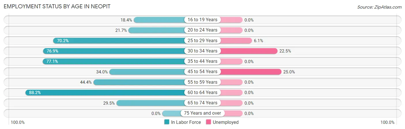 Employment Status by Age in Neopit