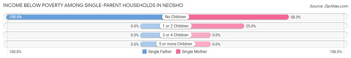 Income Below Poverty Among Single-Parent Households in Neosho
