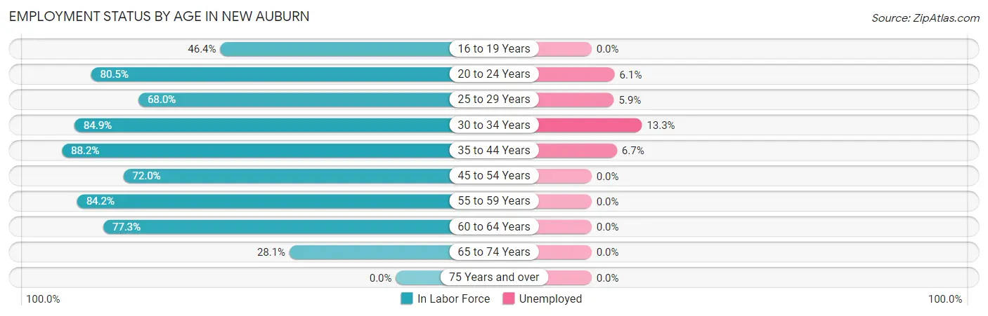 Employment Status by Age in New Auburn