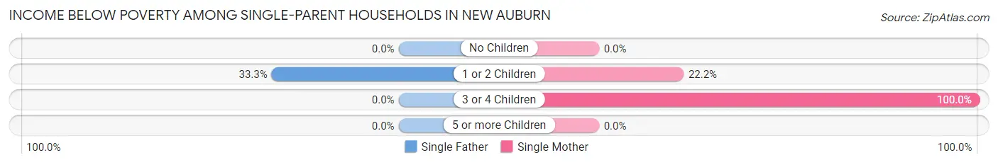 Income Below Poverty Among Single-Parent Households in New Auburn