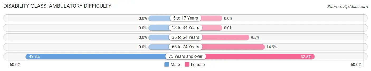 Disability in New Holstein: <span>Ambulatory Difficulty</span>