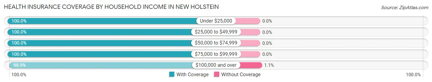 Health Insurance Coverage by Household Income in New Holstein