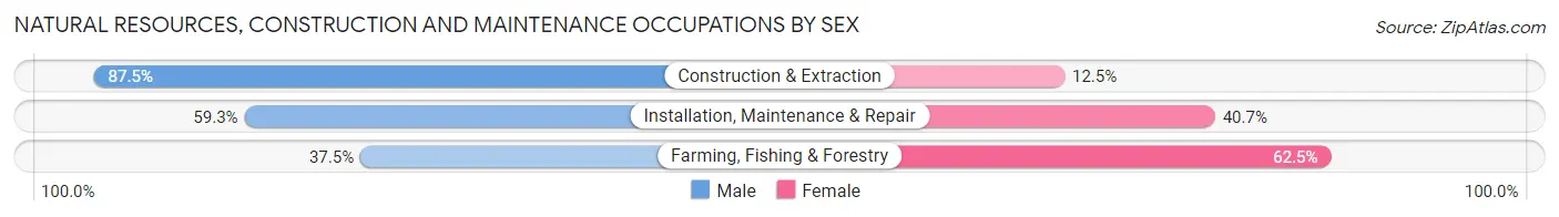 Natural Resources, Construction and Maintenance Occupations by Sex in New Lisbon