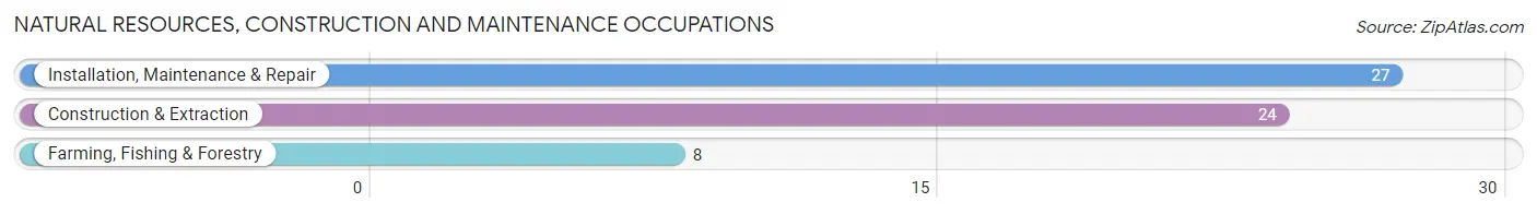 Natural Resources, Construction and Maintenance Occupations in New Lisbon