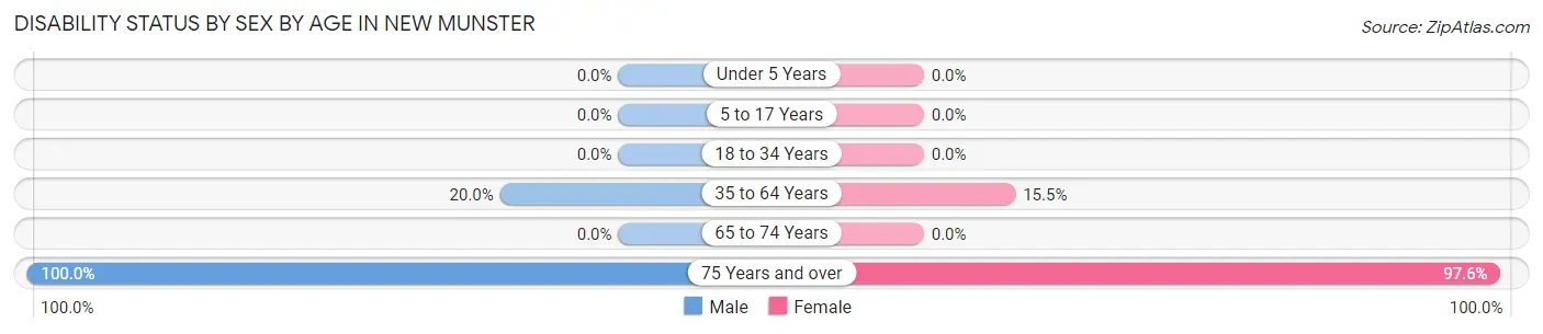 Disability Status by Sex by Age in New Munster