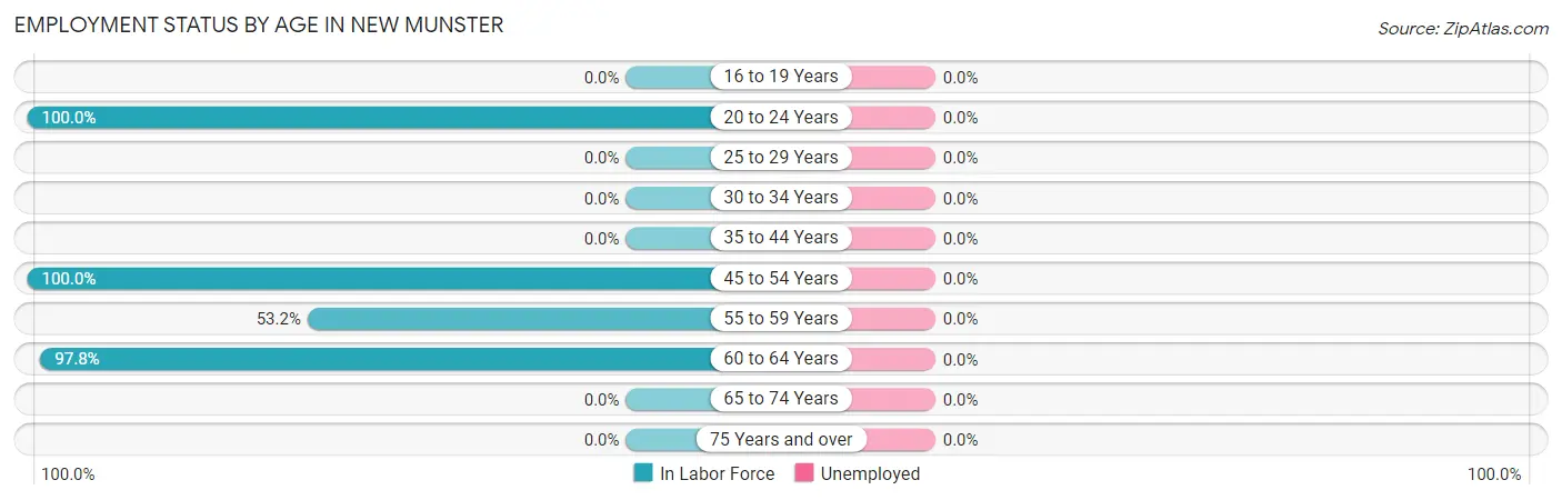 Employment Status by Age in New Munster