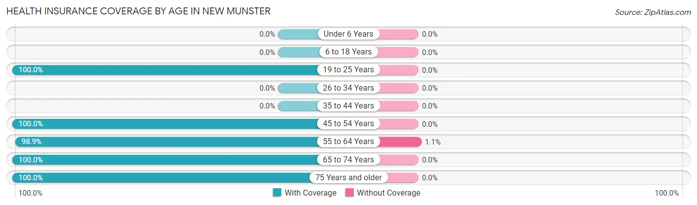 Health Insurance Coverage by Age in New Munster