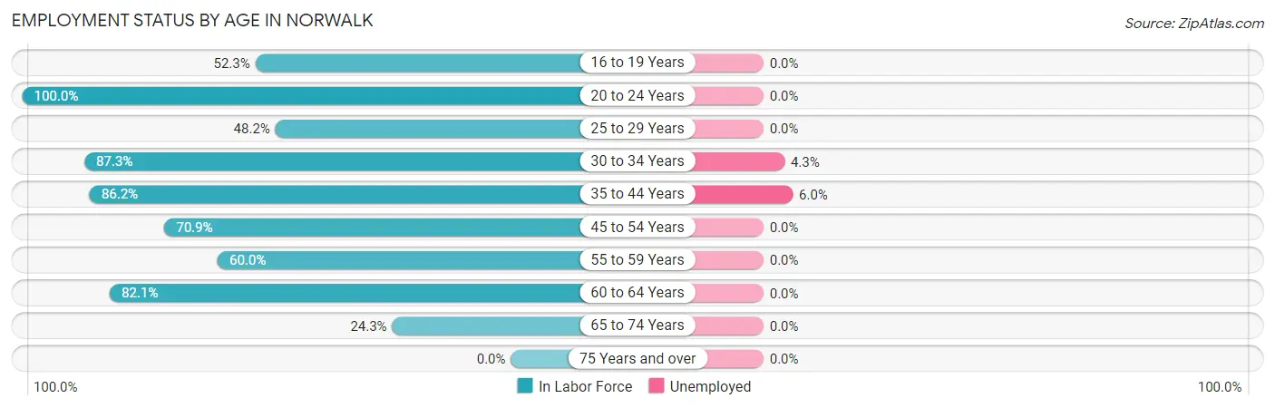 Employment Status by Age in Norwalk