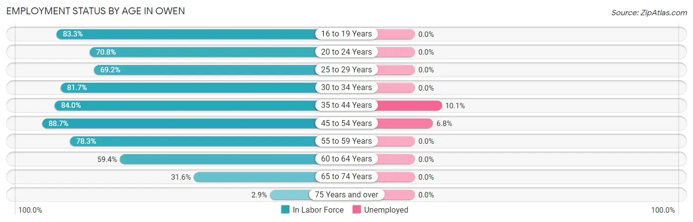 Employment Status by Age in Owen