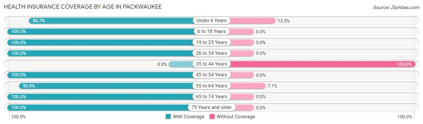Health Insurance Coverage by Age in Packwaukee