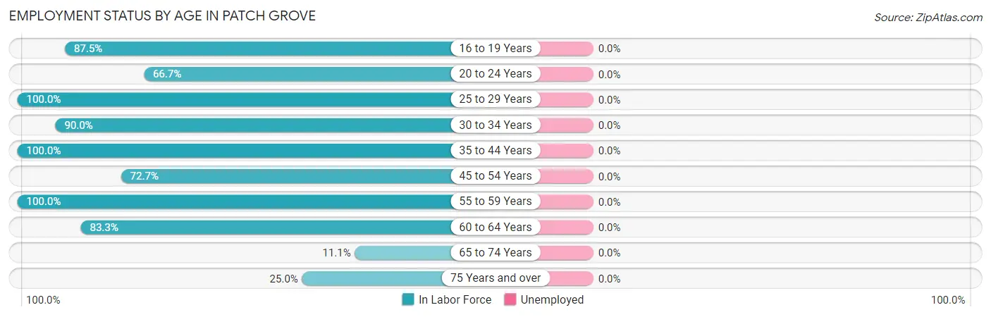 Employment Status by Age in Patch Grove