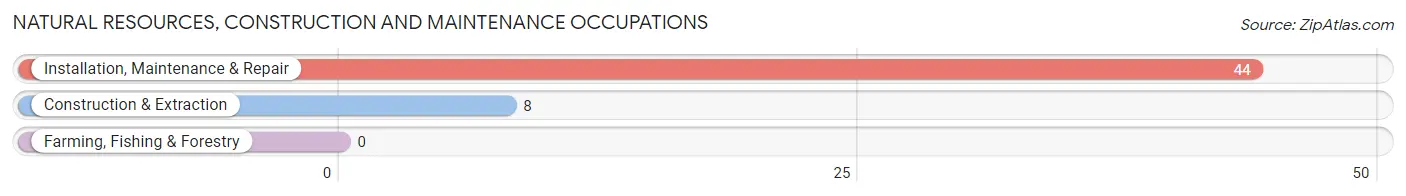 Natural Resources, Construction and Maintenance Occupations in Pembine