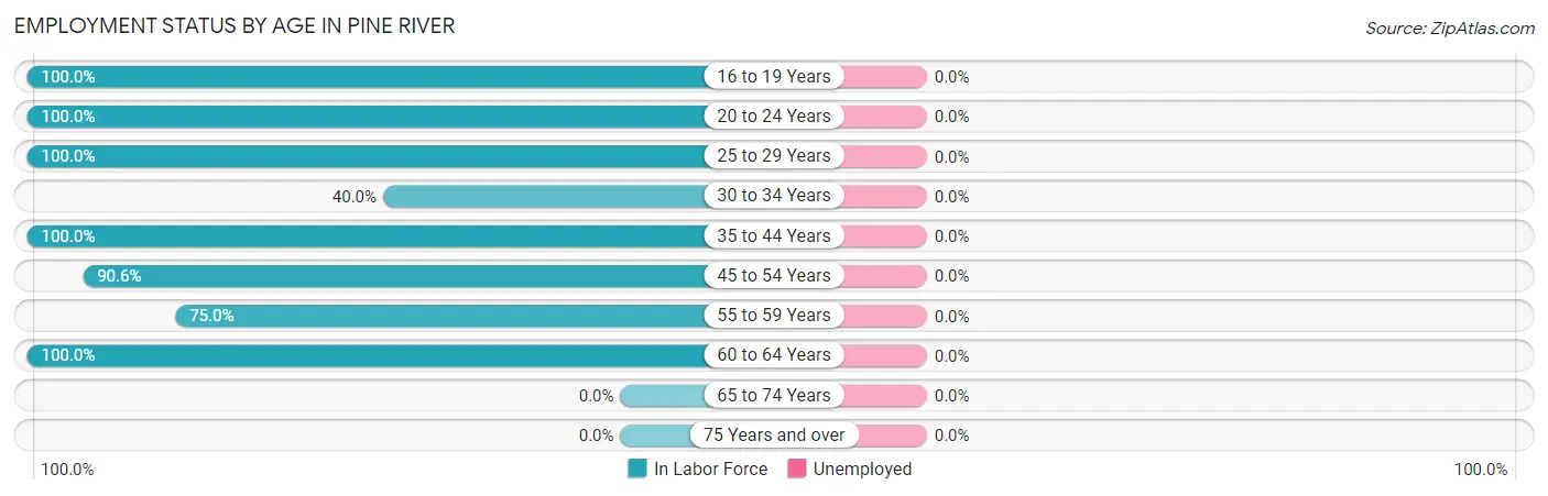 Employment Status by Age in Pine River